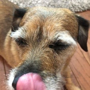 Meet your Posher, Gina